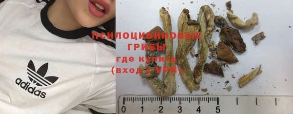 дживик Алексеевка