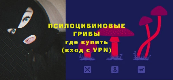 дживик Алексеевка