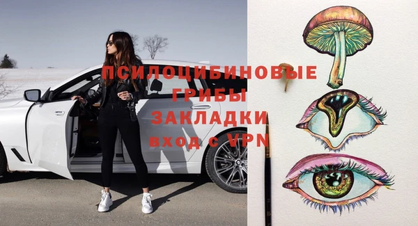 твердый Алзамай