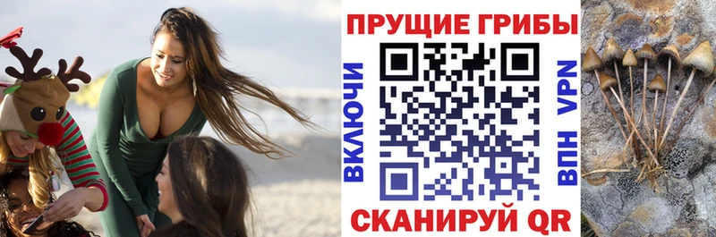 где купить наркоту  Ступино  Псилоцибиновые грибы мухоморы 