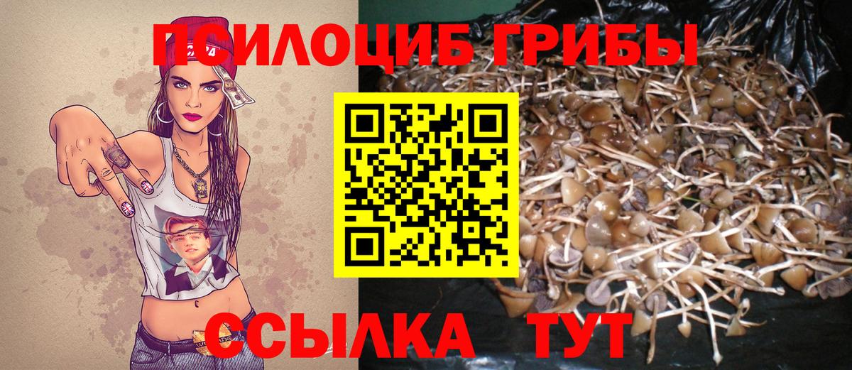 Галлюциногенные грибы мицелий Ступино
